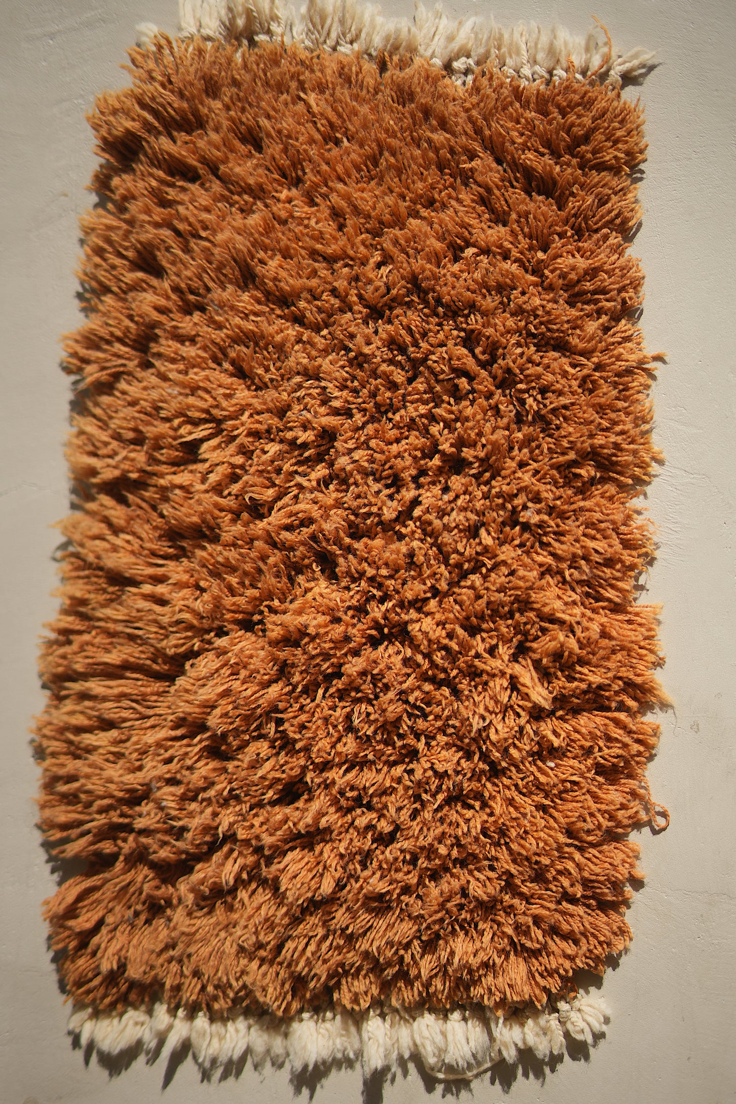 Customizable Atlas Shag Rug