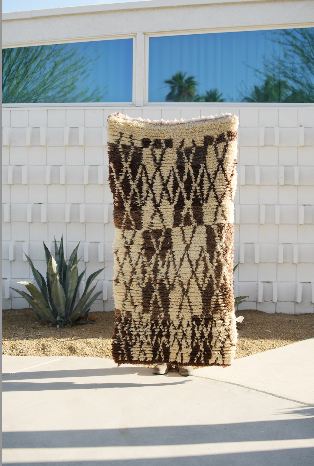 Diamond Grid Brown and Tan Talsint
