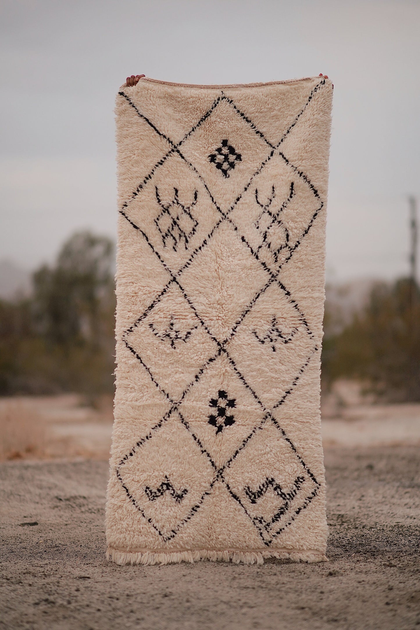 Soukie Modern Cream and Black Cotton Contemporary
