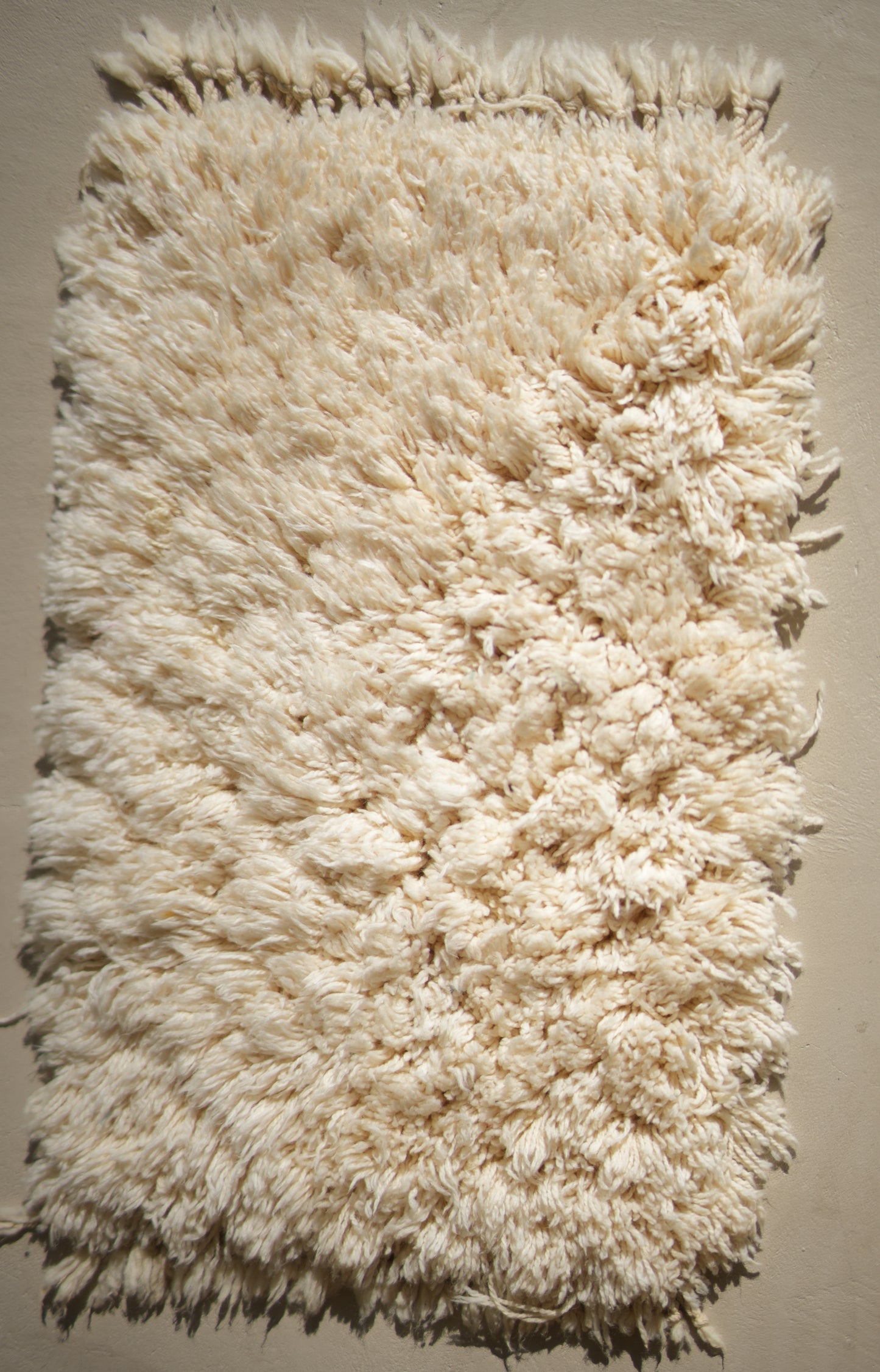 Customizable Atlas Shag Rug
