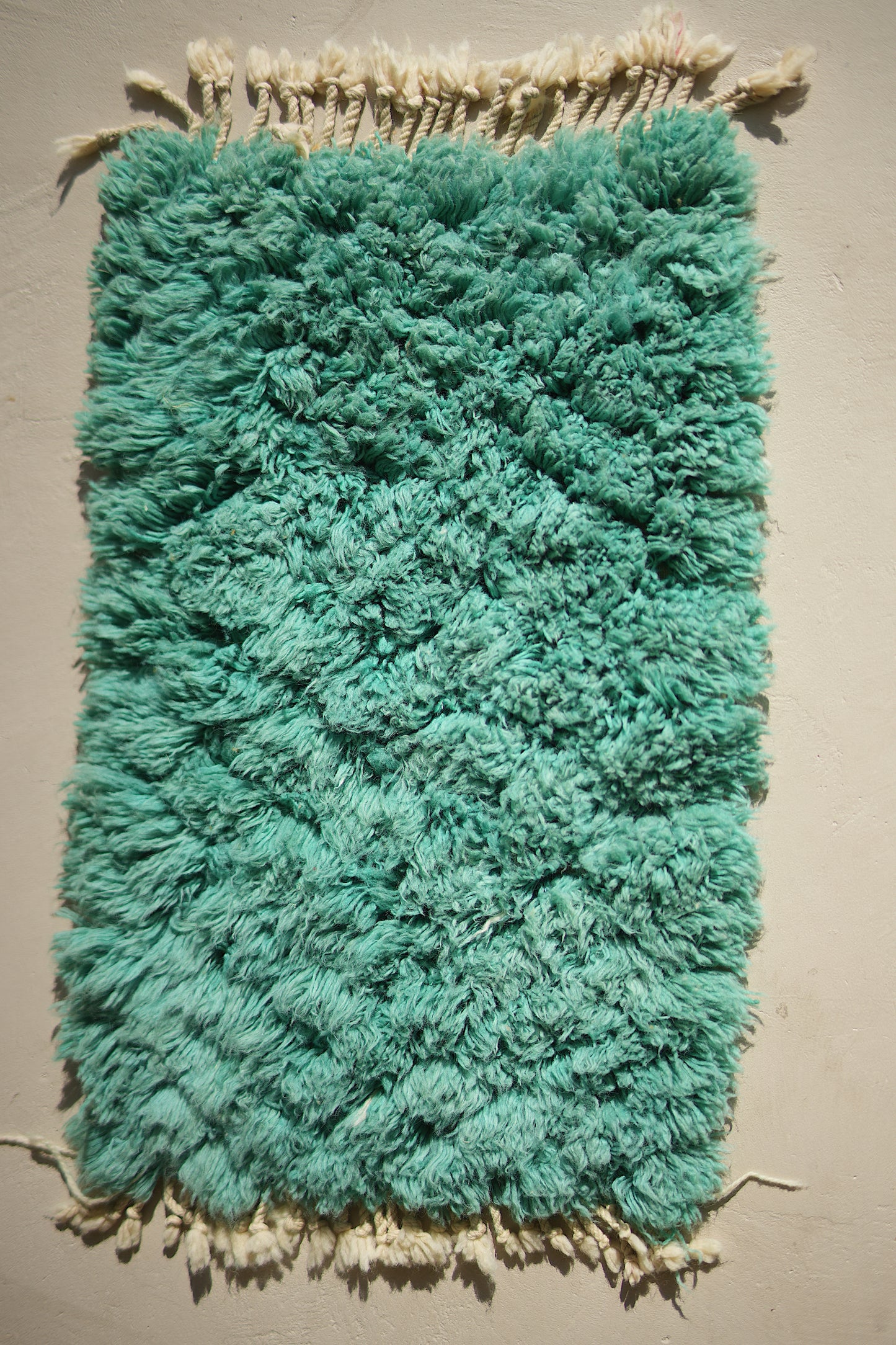 Customizable Atlas Shag Rug