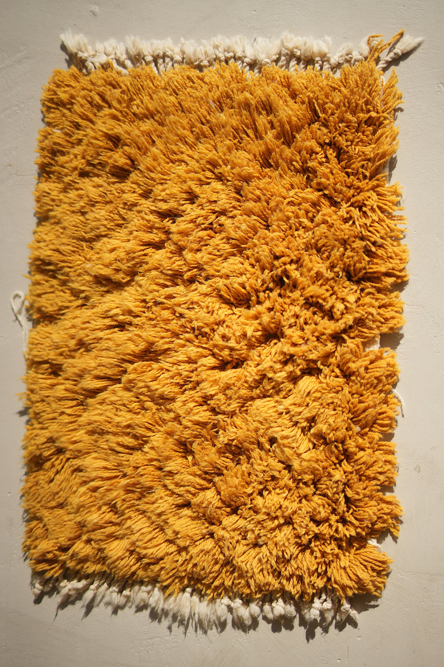 Customizable Atlas Shag Rug
