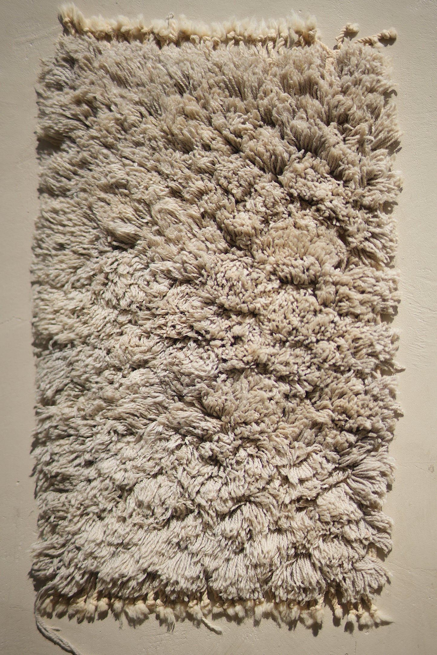 Customizable Atlas Shag Rug