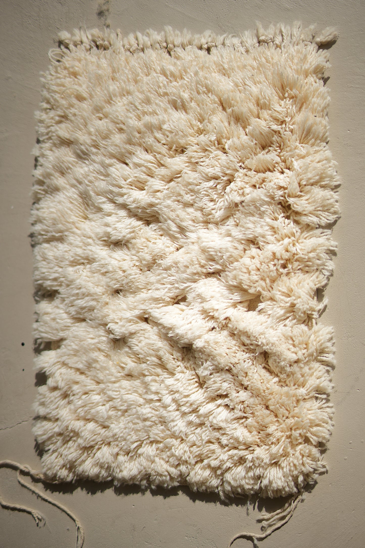 Customizable Atlas Shag Rug