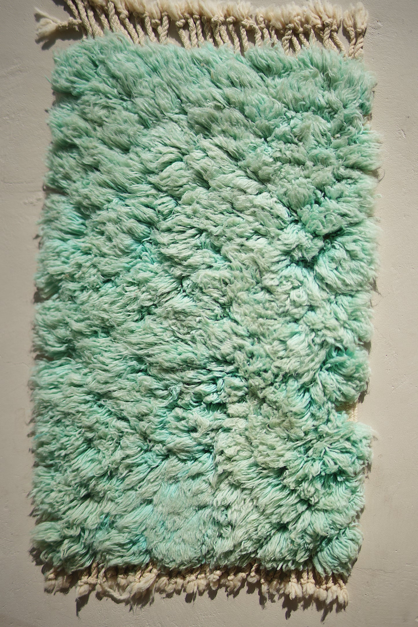 Customizable Atlas Shag Rug