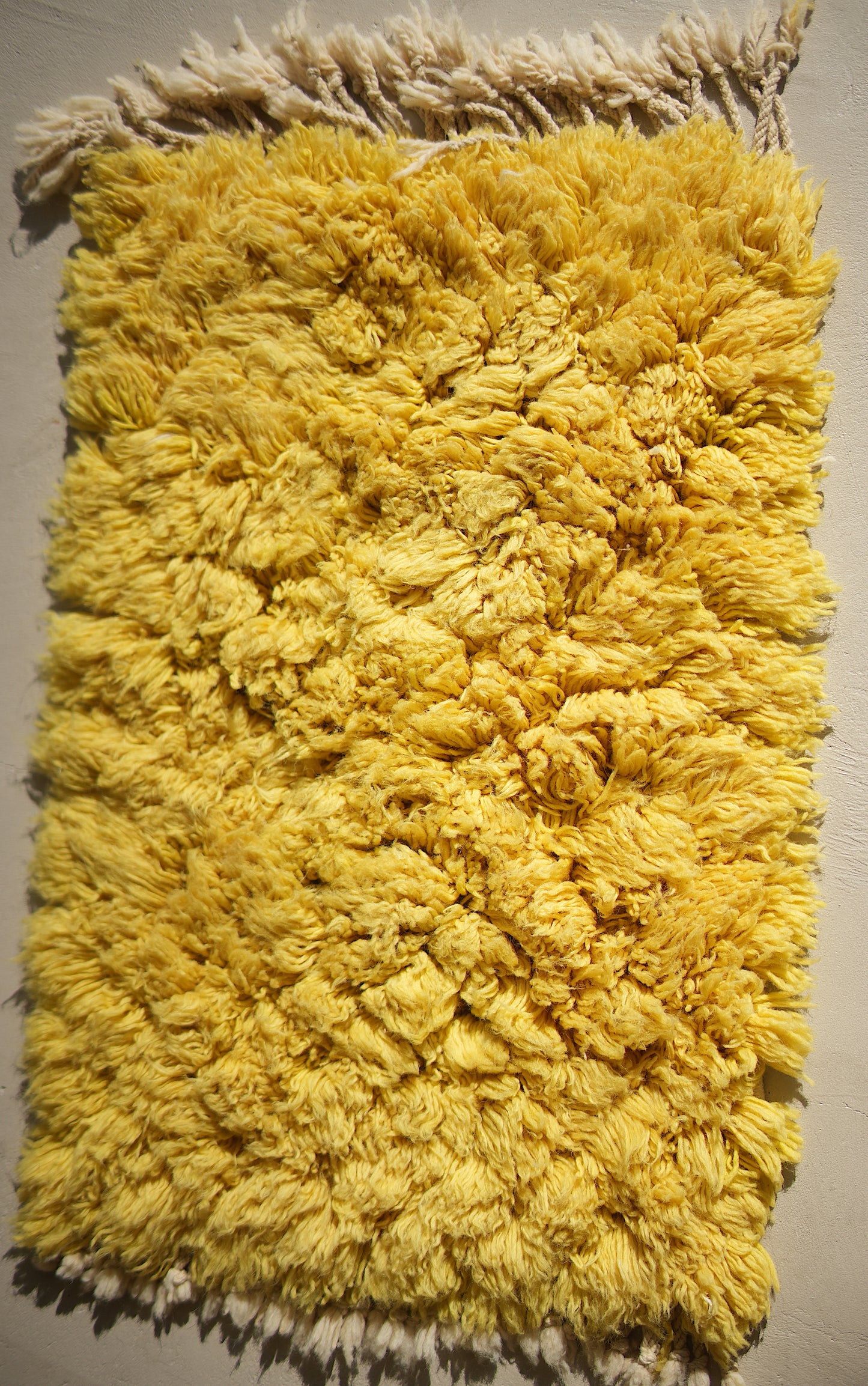 Customizable Atlas Shag Rug