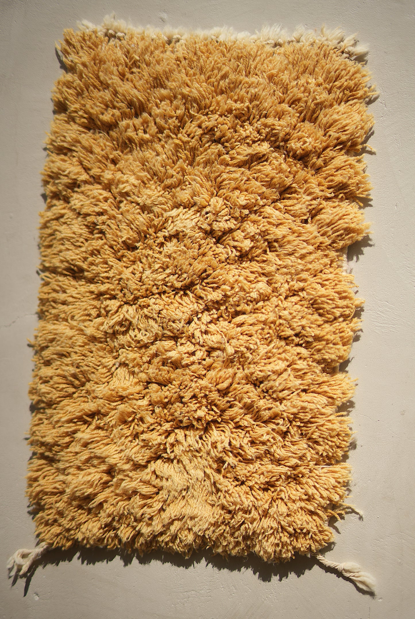Customizable Atlas Shag Rug