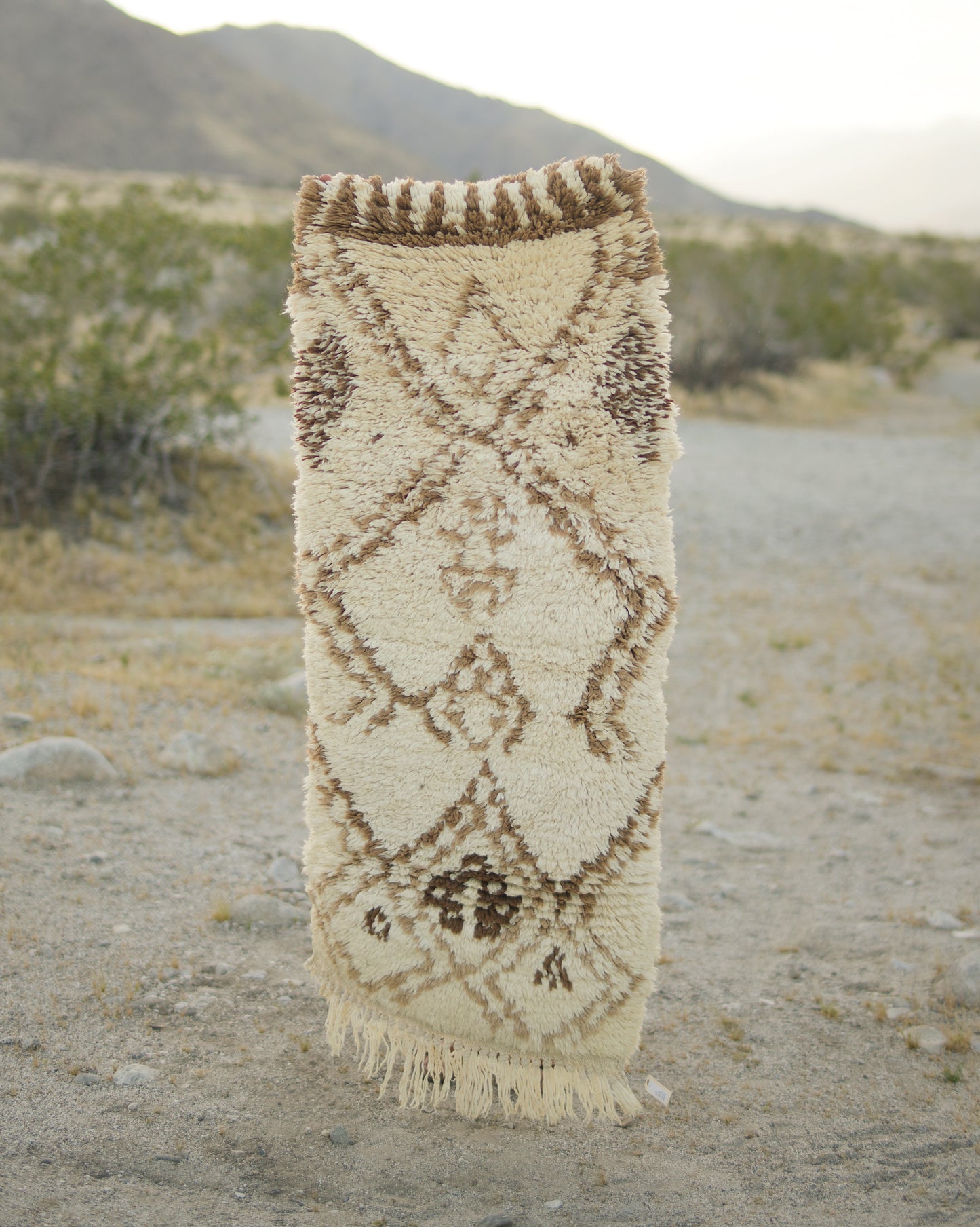 Yucca Valley Vintage Rug