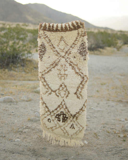 Yucca Valley Vintage Rug