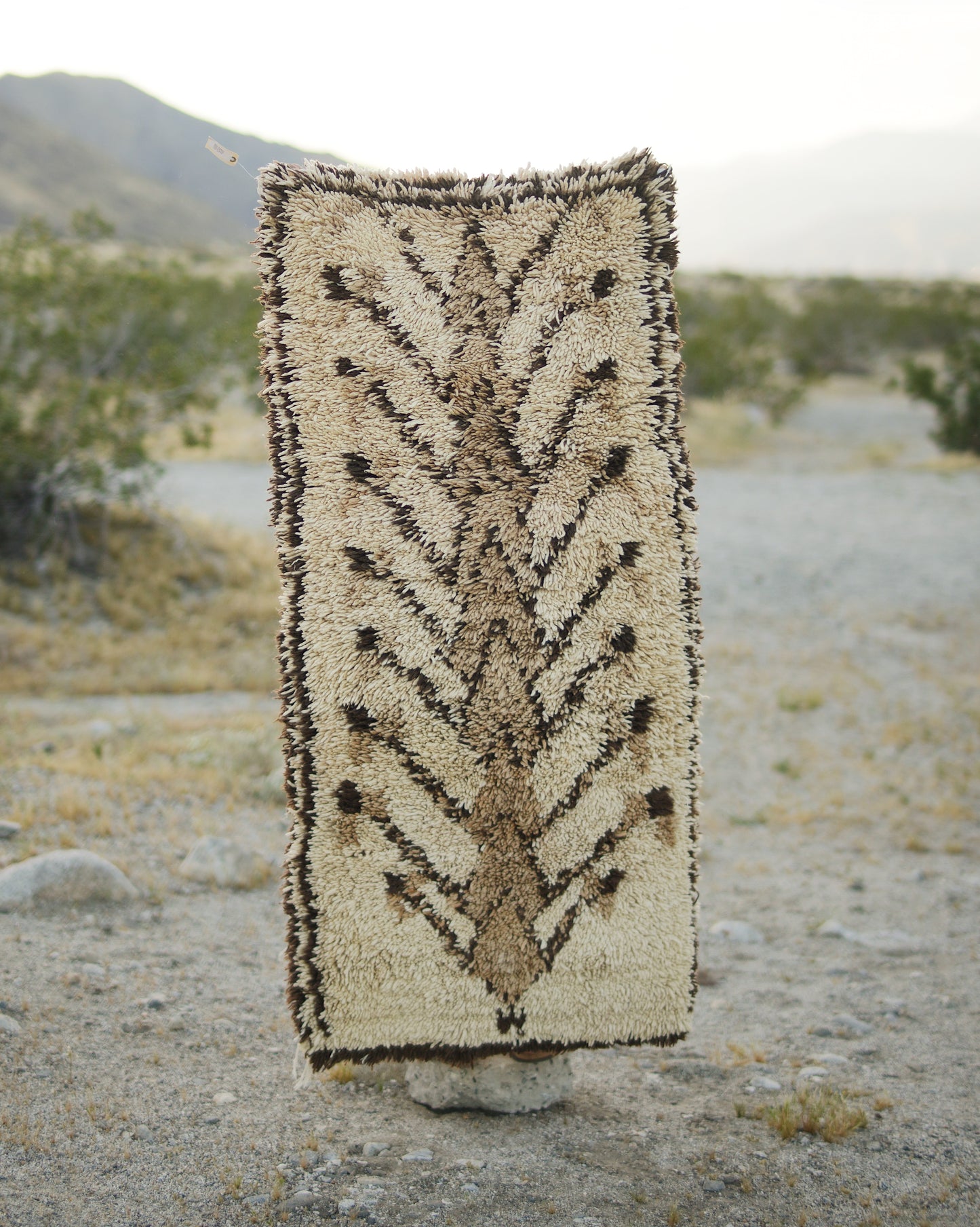The Desert Critter Rug