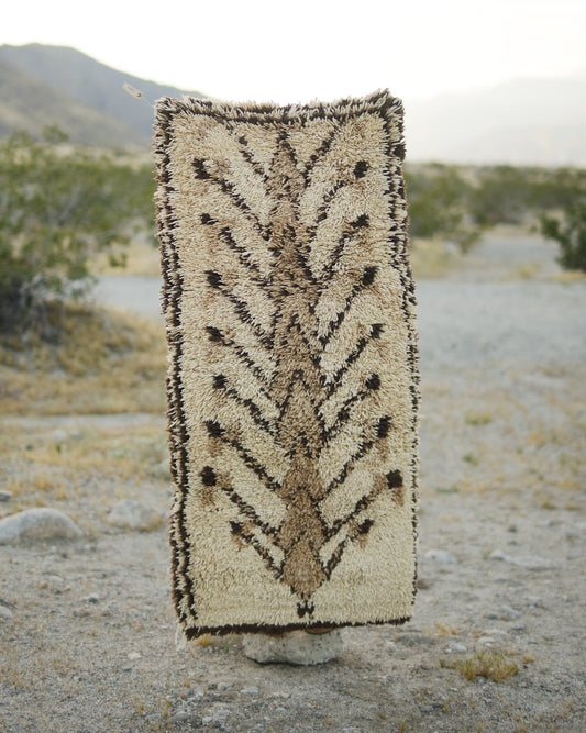 The Desert Critter Rug