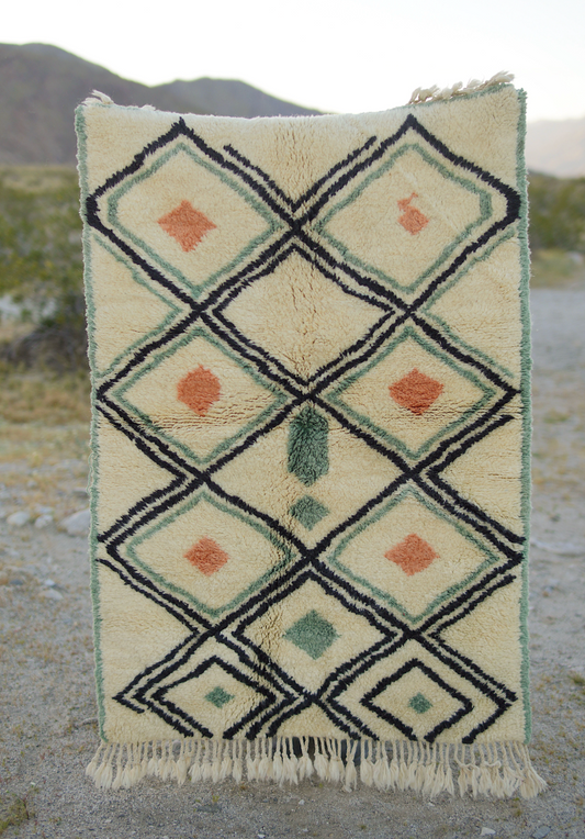 Sweet Sage and Tangerine Rug