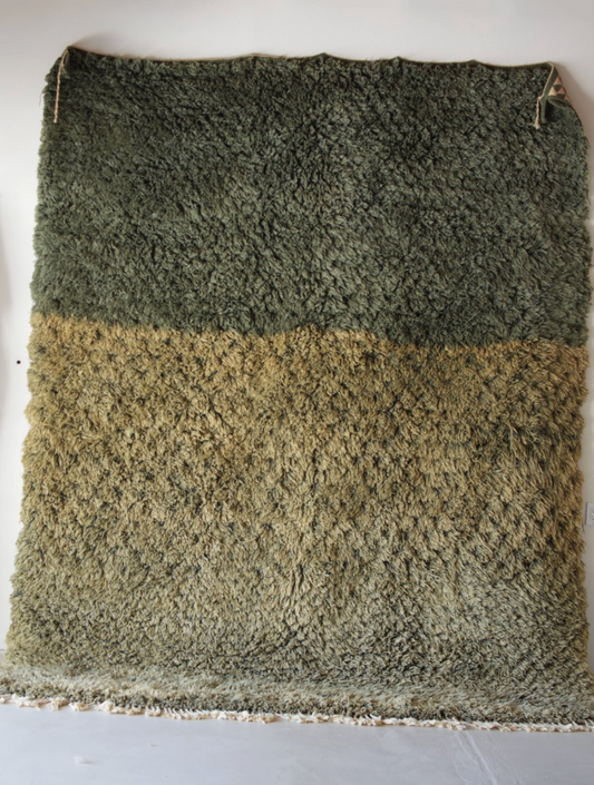Sometimes the Grass is Greener Shag Rug